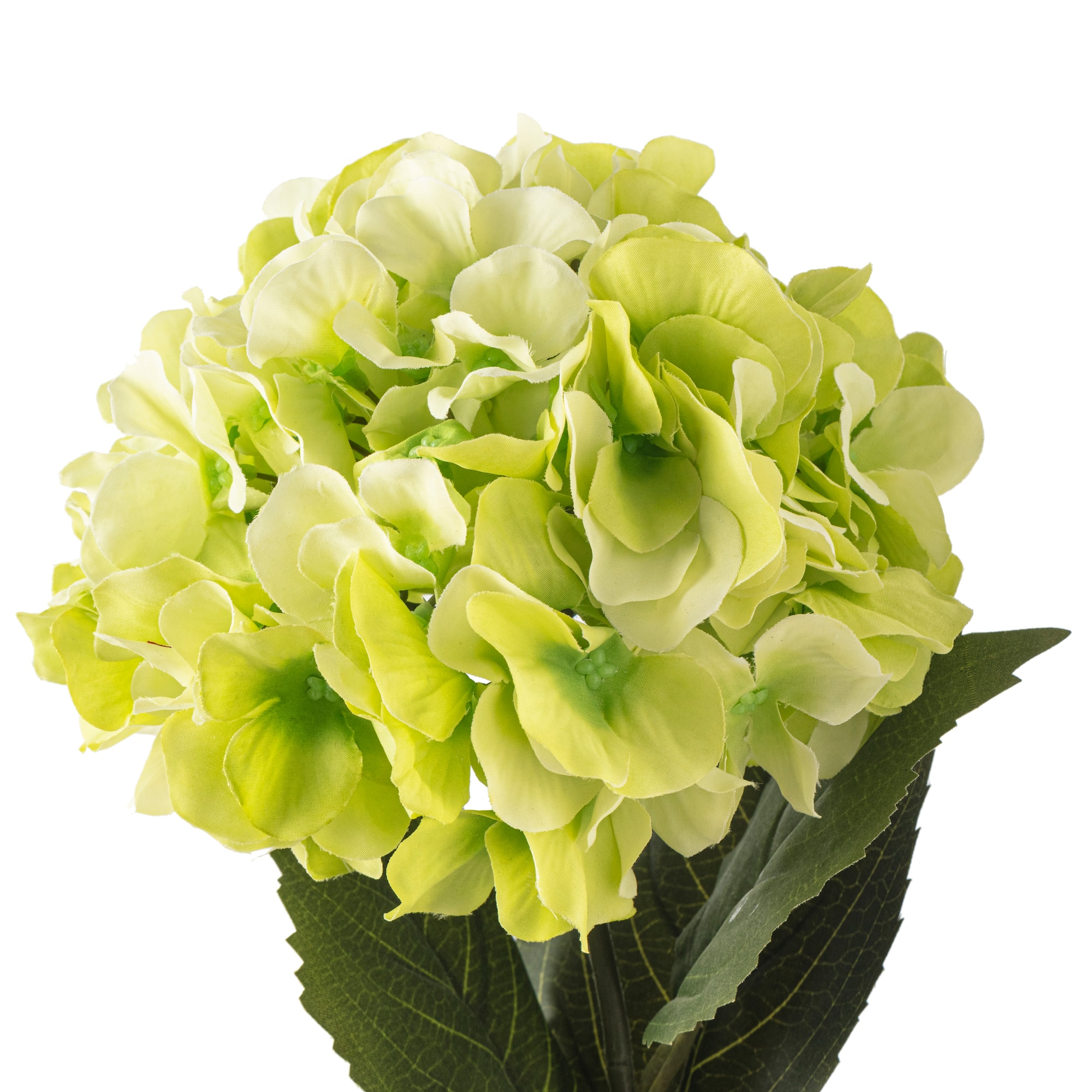 12 Pack: Green Hydrangea Stem by Ashland®